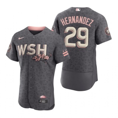 Washington Washington Nationals #29 Yadiel Hernandez Men's Nike Authentic Gray 2022 City Connect Jersey